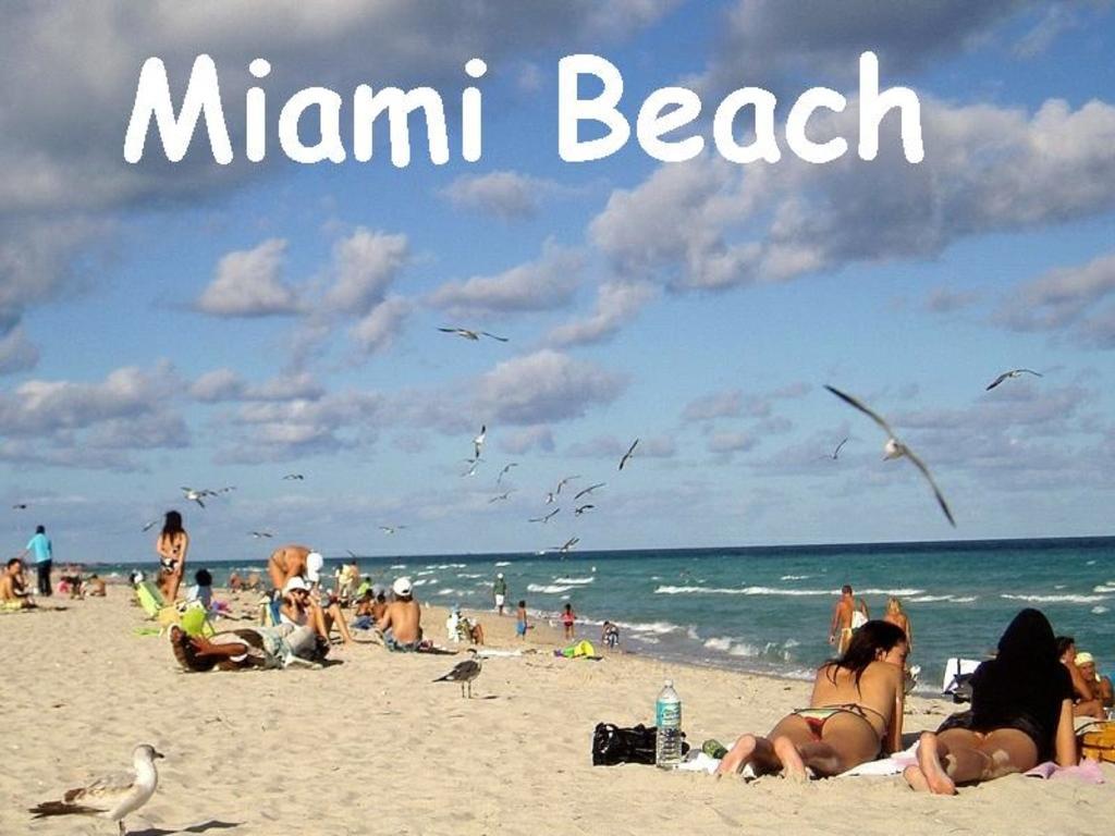 Bikini Lodge (Adults Only) Miami Beach Habitación foto